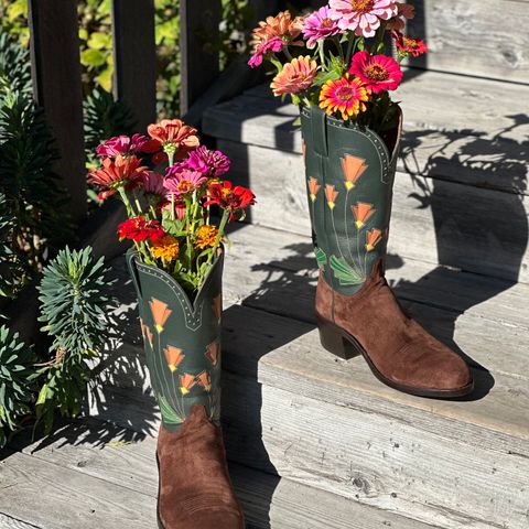 Maya Miel Cowboy Boot in Pig Suede