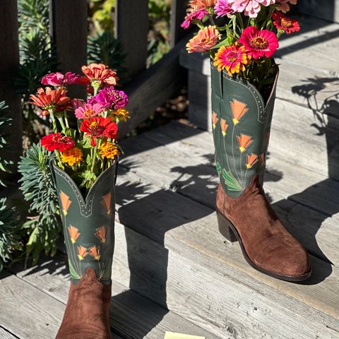 Maya Miel Cowboy Boot in Pig Suede