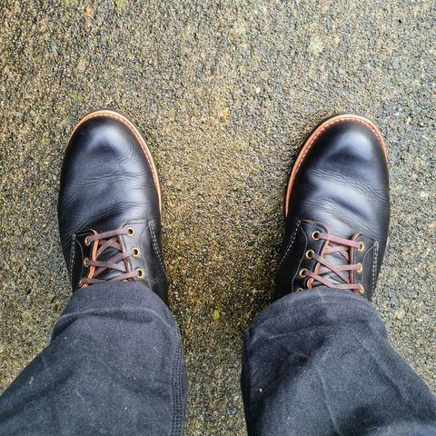 Red Wing Blacksmith in S.B. Foot Black Harness