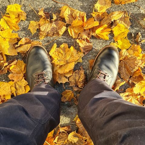 Red Wing Blacksmith in S.B. Foot Black Harness