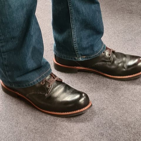 Red Wing Blacksmith in S.B. Foot Black Harness