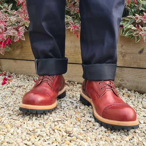 Imperium Hawke in Wickett & Craig Burgundy Traditional Harness