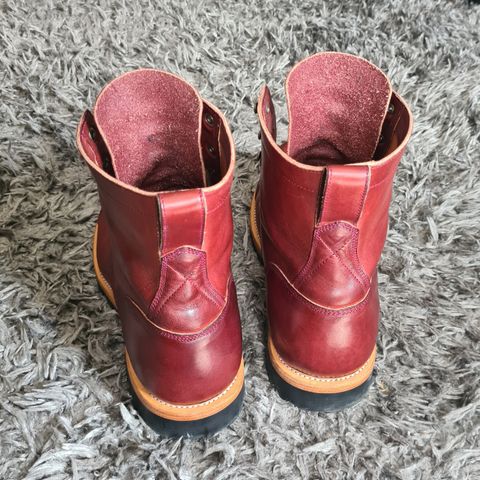 Imperium Hawke in Wickett & Craig Burgundy Traditional Harness