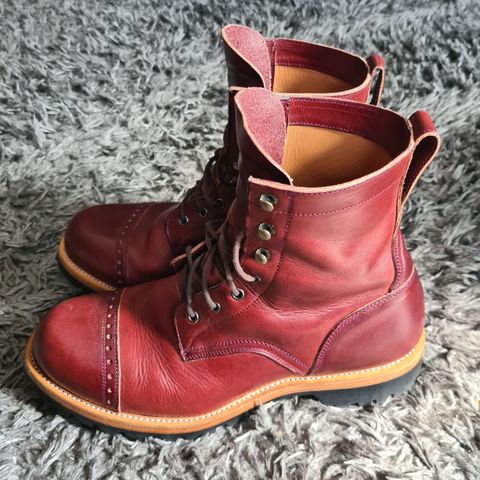 Imperium Hawke in Wickett & Craig Burgundy Traditional Harness