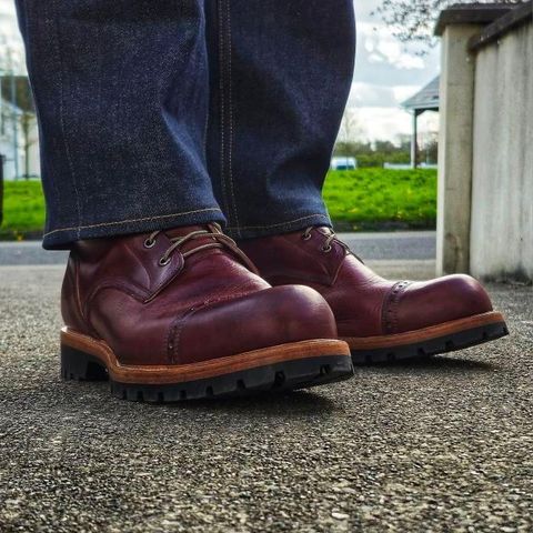 Imperium Hawke in Wickett & Craig Burgundy Traditional Harness