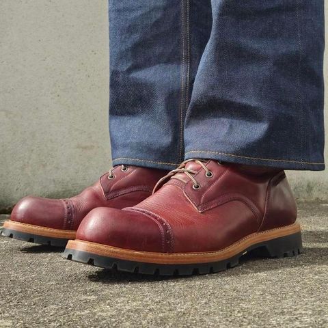 Imperium Hawke in Wickett & Craig Burgundy Traditional Harness