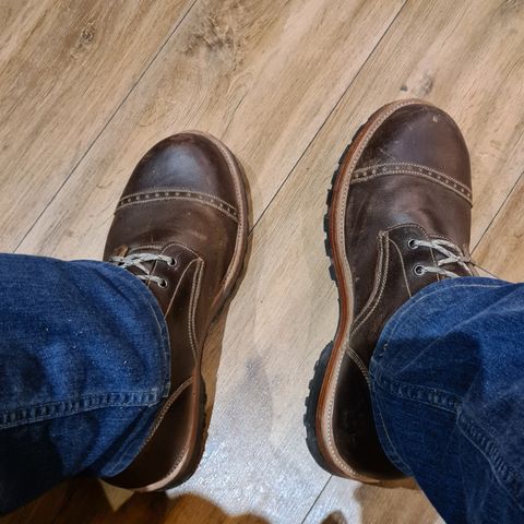 Imperium Hawke in Horween Cinnamon Waxed Flesh