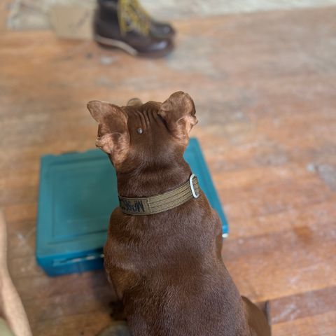 Wesco Warren Boot in Horween Brown Chromexcel