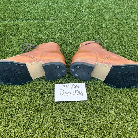 Onderhoud SVC03 Service Boot in Maryam Toscanello TPR Horsebutt
