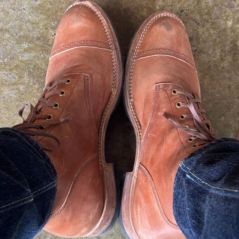 Onderhoud SVC03 Service Boot in Maryam Toscanello TPR Horsebutt