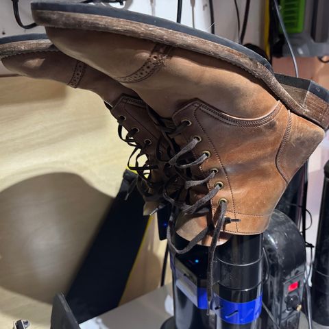 Onderhoud SVC03 Service Boot in Maryam Toscanello TPR Horsebutt