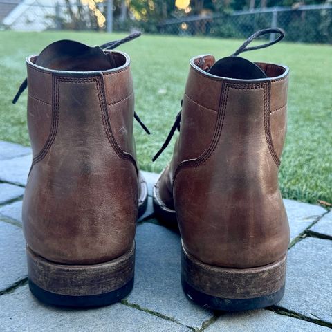 Onderhoud SVC03 Service Boot in Maryam Toscanello TPR Horsebutt