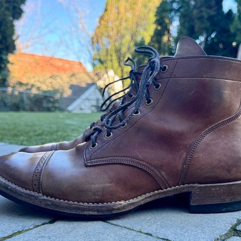 Onderhoud SVC03 Service Boot in Maryam Toscanello TPR Horsebutt