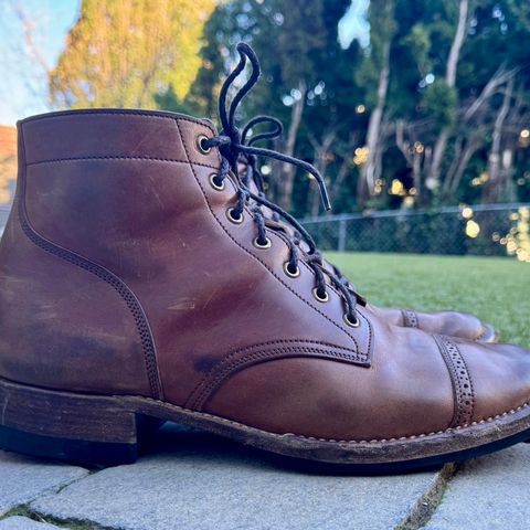 Onderhoud SVC03 Service Boot in Maryam Toscanello TPR Horsebutt