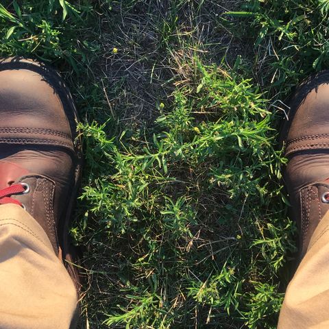 Nicks Urban Logger in Seidel 1964 Brown