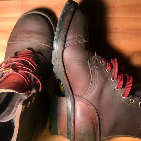 Nicks Urban Logger in Seidel 1964 Brown