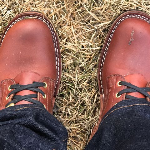 Nicks Heritage TankerPro in Seidel 64 Brown Double Shot