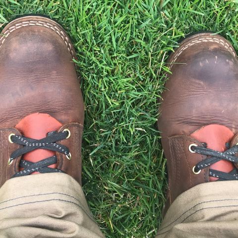 Nicks MTO in Horween Whiskey Predator
