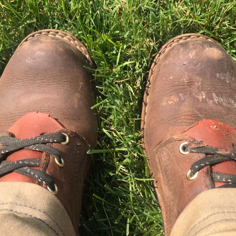 Nicks MTO in Horween Whiskey Predator
