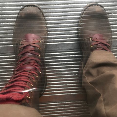 Nicks MTO in Horween Whiskey Predator