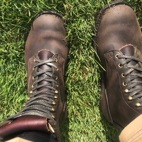 Nicks Ranger in Seidel MaxSupport Walnut