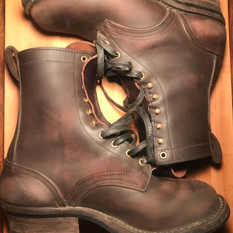 Nicks Ranger in Seidel MaxSupport Walnut