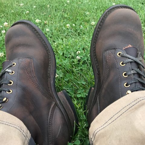 Nicks Ranger in Seidel MaxSupport Walnut