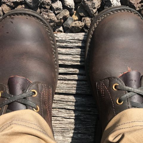 Nicks Ranger in Seidel MaxSupport Walnut
