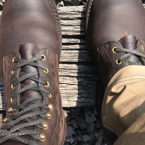 Nicks Ranger in Seidel MaxSupport Walnut