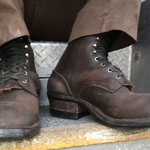 Nicks Ranger in Seidel MaxSupport Walnut