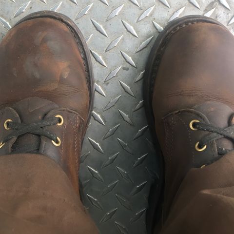 Nicks Urban Logger in Horween Orange Predator