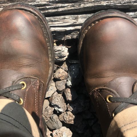Nicks Urban Logger in Horween Orange Predator