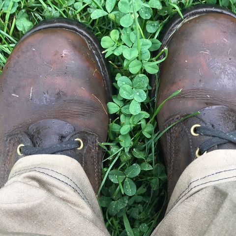 View photo of Nicks Urban Logger in Horween Orange Predator