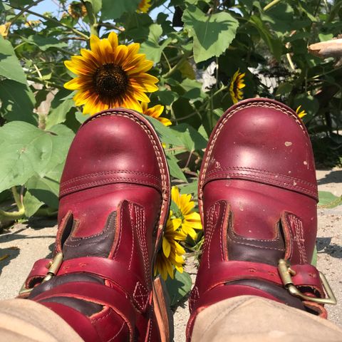Nicks Heritage TankerPro in Wickett & Craig Double Stuffed Crimson