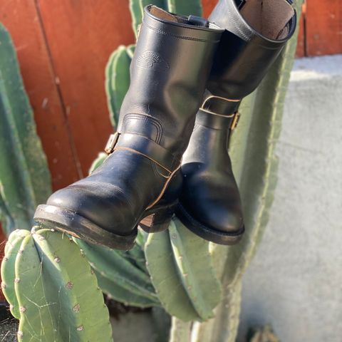 Zerrows Type One in Horween Black Latigo