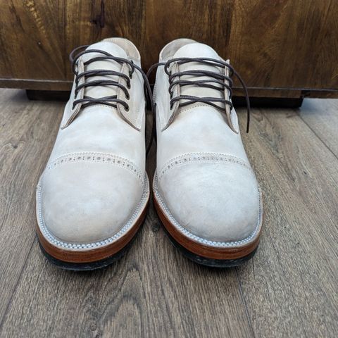 Renav DRB - 1009 in Conceria Cloe Crust Shell Cordovan