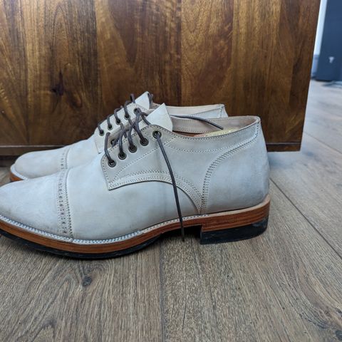 Renav DRB - 1009 in Conceria Cloe Crust Shell Cordovan