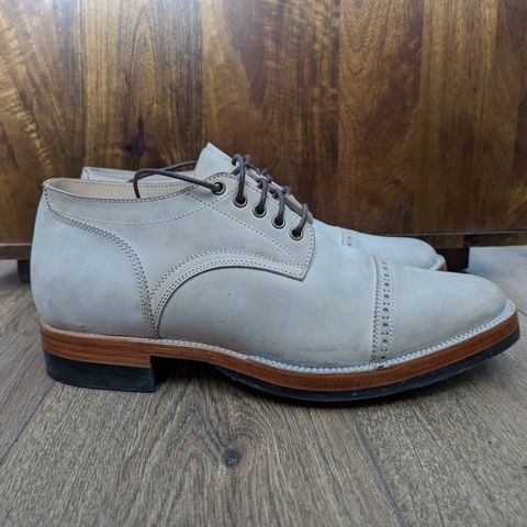 Renav DRB - 1009 in Conceria Cloe Crust Shell Cordovan
