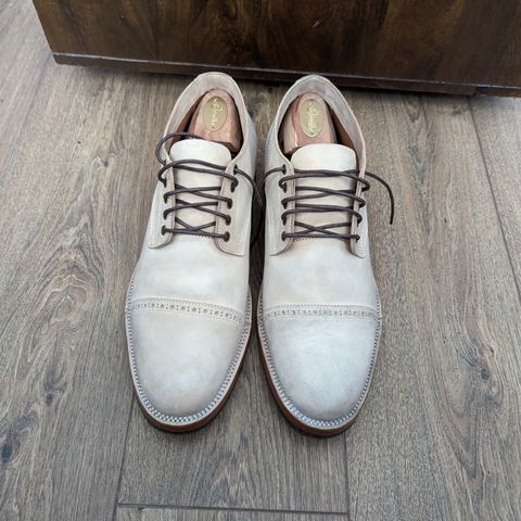Renav DRB - 1009 in Conceria Cloe Crust Shell Cordovan