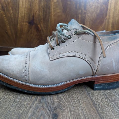 Renav DRB - 1009 in Conceria Cloe Crust Shell Cordovan