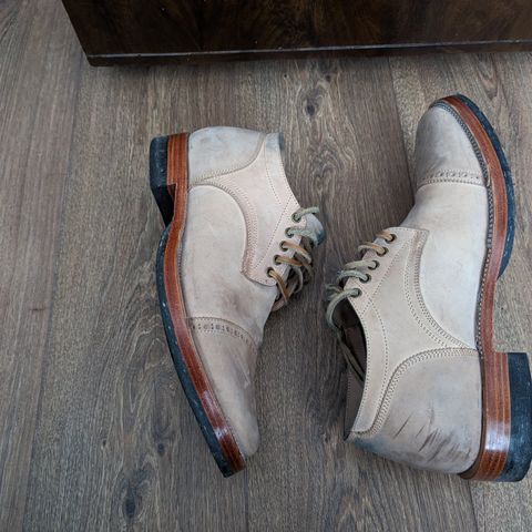 Renav DRB - 1009 in Conceria Cloe Crust Shell Cordovan