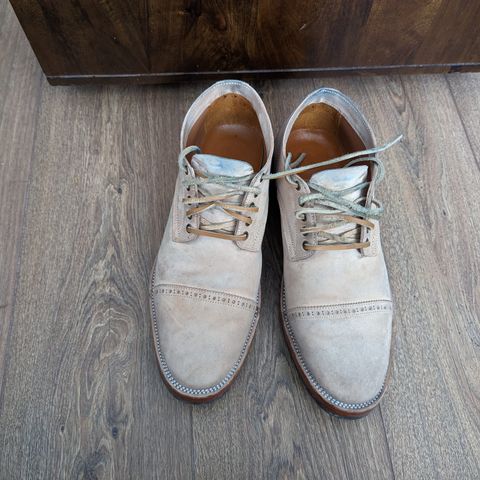 Renav DRB - 1009 in Conceria Cloe Crust Shell Cordovan