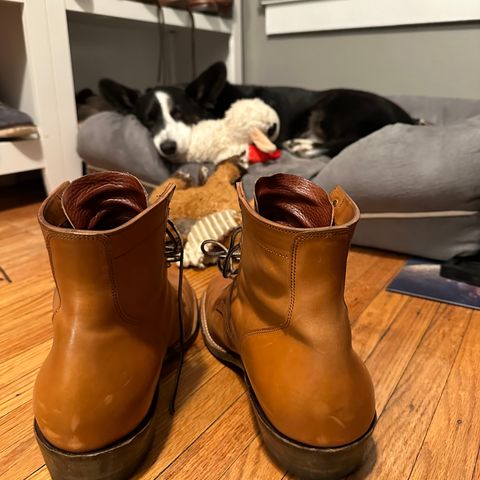 Sherman Boot Works Glanton in Maryam Natural TPR Horsebutt