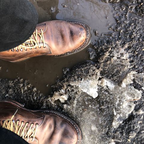 View photo of White's Stevens (Plain Toe) in Horween Natural Chromexcel