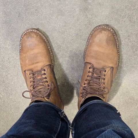 White's Stevens (Plain Toe) in Horween Natural Chromexcel
