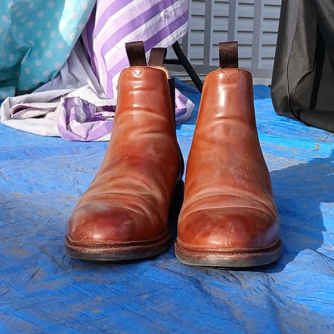 Meermin Chelsea Boot in Whiskey Heritage Shell Cordovan