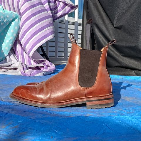 Meermin Chelsea Boot in Whiskey Heritage Shell Cordovan