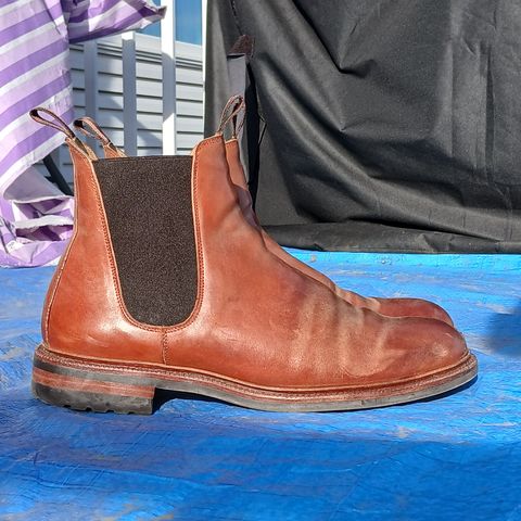 Meermin Chelsea Boot in Whiskey Heritage Shell Cordovan
