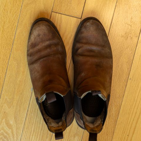 Meermin Chelsea Boot in Whiskey Heritage Shell Cordovan