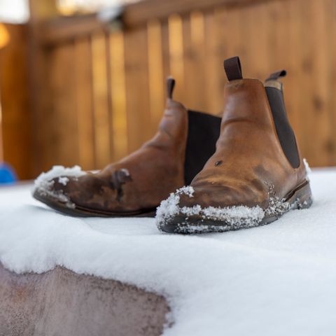 Meermin Chelsea Boot in Whiskey Heritage Shell Cordovan